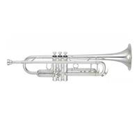 YTR8345GS Xeno Sib Argentée