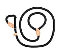 YTtkku Laisse réfléchissante pour chien, laisse de dressage pour chiens de grande taille et de petite taille, laisse robuste pour chiens