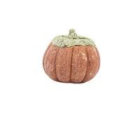 YTtkku Lapins Molaires Légumes Biscuit Hamsters Chinchillas Perroquet Nourriture Nettoyage des Dents Traite Molaire Jouet à Mâcher Petit Animal de Compagnie