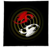 YTtkku Nappe de divinations dragon/loup astrologie tarots nappe autel tissu jeu de société carte nappe décoration murale