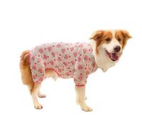 YTtkku Vêtement pour chien fille - Joli motif de fruits - Pull à quatre pattes pour chemise élégante - Vêtements pour animaux de compagnie - Mode pour grands chiens