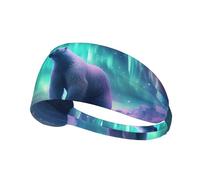 YTUOPWE Northern Lights Bandeau élastique pour homme et femme Motif ours polaire Séchage rapide