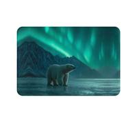 YTUOPWE Paillasson 40,6 x 61 cm Ours polaire dans les aurores boréales Image absorbant l'eau Antidérapant pour portes d'entrée, entrée et salle de bain