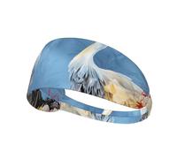 YTUOPWE Paire de Crane Herons Picture Elastic Exercise Headband Sport Head Tie for Men and Women Soft Quick Dry