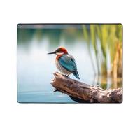 YTUOPWE Tapis de sol antidérapant 160 x 121,9 cm Motif oiseau de lagon Bonne absorption de l'eau Convient pour la cuisine, la salle de bain et le salon