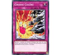 Yu-Gi-Oh! - Sbsc-Fr045 - Grosse Colère - Commune
