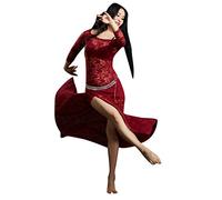YuanDian Femmes Dentelle Danse du Ventre Robes Haute Split Manches Longues Perspective Élégante Tribal Oriental Arabe Belly Danse Costume Robe (sans Chaîne de Taille) Bourgogne