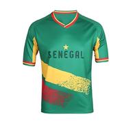 YuanDiann 2024 Allemagne Européenne/America Coupe Football T Shirt Fans Manche Courte Sport Casual Tee Shirt Impression De L'équipe Nationale Homme Femme Enfant Fans Encouragent Sénégal XXL