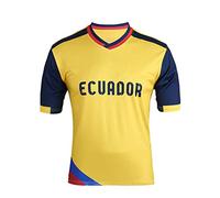 YuanDiann Qatar Football World Cup T Shirts Fans Cheer on Sport Training Mens Womens Printing Short Sleeve Crew Neck Stretch Casual Breathable Quick Dry Tee Shirt Ecuador L