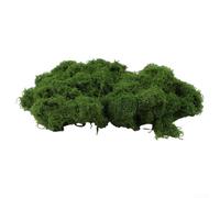 Yuanpgky 500 g de mousse verte artificielle - Plantes de lichen vert artificiel - Pour bricolage, aménagement paysager, couronne, artisanat, arbres, jardinières, décorations de table d'intérieur (vert