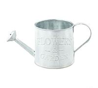 Yuanpgky Arrosoir rétro en fer pour la décoration de la maison, du jardin, pot de fleurs vintage et vase, compact 9 cm x 8,5 cm, seau décoratif pour plantes, artificiel (ancien)