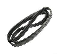 Yuanpgky Courroie dentée double face pour Park 92M DS8M et Wolf 6200146, compatible avec 9585-0131-01 Pièce de rechange pour tondeuse à gazon, construction durable en caoutchouc noir pour