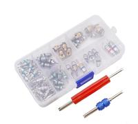 Yuanpgky Kit d'outils de démontage de valve de climatisation de voiture compatible avec les systèmes R12 et R134a avec ports de service 1/4" et 5/16", comprend 2 outils et 100 valves