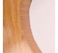 Yuanpgky Tapis d'ours en peluche, 0,5 x 0,6 m, imitation peau de lapin avec envers antidérapant pour chambre à coucher, salon, chambre d'enfant, bureau (kaki)