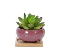YUANstore Lot de 8 pots de fleurs en céramique en forme de grue de glace transparent Seven Muchi Petit pot de fleurs en poly - 8 pots de glace colorés (6 x 6 x 3 cm)