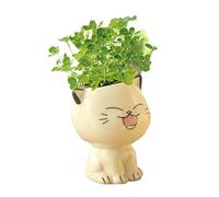 YUANstore Mini pot de fleurs en céramique en forme de chat - Dessin animé - Décoration de bureau - Décoration de petite taille - Décoration d'intérieur
