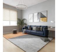 YUANWAN Tapis de Décoration 120 x 300 cm Dessous Antidérapant, Super Doux Tapis de Salon à Poils Ras Salon Chambre Doux pour Chambre à Coucher, 1