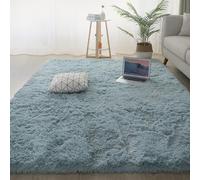 YUANWAN Tapis de Salon Tapis Décoratif 140 x 90 cm Moelleux Antidérapant Intérieur Épais à Poils Longs Extra Doux pour Chambre pour Salon Couloir, Bleu