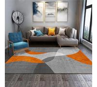 YUANWAN Tapis de Sol Grand 70 x 110 cm Dessous Antidérapant, Super Doux Tapis de Sol Lavable en Machine Tapis Poils Moderne pour Salon, Chambre à Coucher, 11