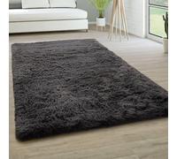 YUANWAN Tapis Moderne à Poils Longs 60 x 80 cm Résistant Aux Intempéries et Aux UV Tapis de Chambre Super Doux Tapis Salon Moderne pour Salon de Sol Grand Couloir, Gris Foncé
