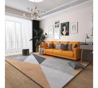 YUANWAN Tapis Salon Shaggy 150 x 220 cm Facile à Nettoyer Texture Douce Doux et Antidérapant Rectangulaire Antidérapant Tapis Tapis Salon Modern pour Salon, Chambre à Coucher, 2