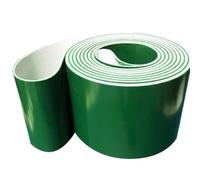 YUANYAO Bande transporteuse en PVC Vert 900x250x1mm