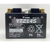 Yuasa Batterie de rechange pour moto Honda Africa Twin CRF1000L 1000 2016 YTZ14S