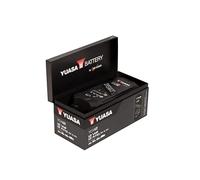 Yuasa YCX12 12 V 12 A Chargeur Intelligent pour Voiture, Fourgon et Camion