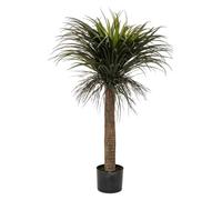 Atmosphera Créateur d'intérieur - Plante Artificielle en Pot "Yucca" 150cm Vert & Noir Vert G