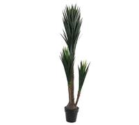 Yucca en Pot Plastique Vert - h160 x d80 cm