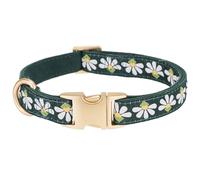 YUDOTE Collier pour Chien en Velours Côtelé Doux avec Ruban Jacquard à Motifs Floraux pour Chiens de Taille Petits Usage Quotidien, Vert