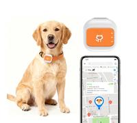 YUEHISY Traceur d'animaux en Direct avec Historique de Localisation, Veille de 25 Jours, Localisateur de Collier de Chat Compact Résistant à la Pluie, Alerte Flash SOS (Version Amérique)
