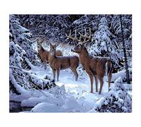 Yuehuam Set di pittura a olio fai da te con i numeri, per bambini, studenti, adu