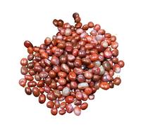 YUEKOPOU Cailloux, Pierres décoratives Naturelles, Decorative Pebbles for Indoor, Fish Tank Rocks, Natural Mixed Color River Rocks for Plants, Vase Fillers, Landscaping Rocks, Aquarium Rocks,L(S)