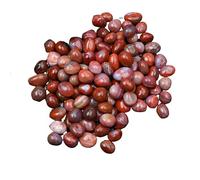 YUEKOPOU Cailloux, Pierres décoratives Naturelles, Decorative Pebbles for Indoor, Fish Tank Rocks, Natural Mixed Color River Rocks for Plants, Vase Fillers, Landscaping Rocks, Aquarium Rocks,L(L)
