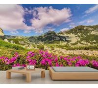 YueMingDi Montagne Sommets Fleurs Blanc Nuages Paysage Mural Art Décoration Bureau Étude Salon Fond-350Cm×256Cm