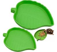 YUENX 2 Pièces Bol d'eau de Nourriture Abreuvoir Tortue Plat de Reptile pour Petits Animaux domestiques, Lézard, Araignée, Scorpion (Vert)