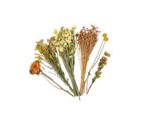 YUGSHNKFC Arrangement De Fleurs Séchées pour Les Habitats Hamster Améliore L'esthétique La Cage Décors Naturellement Bouquets Fleurs Séchées