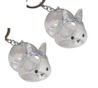 YUGSHNKFC Funny Bunnies Themed Pet Hair Preservations Key Holder Plastic Decorative Rabbits Furs Collector Gift for Animal Lover Clear Rabbit Themed Miniature Organizers
