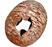 YUGSHNKFC Mise À Niveau De L'habitat des Reptiles À Faible Entretien Grotte Cachette Dinosaure avec Décor Extérieur Texturé Anti-Stress pour Terrarium Colophane Marinepark Deck pour Petites Espèces