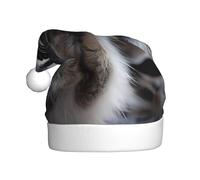 YUGTAEE Chapeau de Noël en peluche pour adulte - Motif raton laveur - Doux au toucher - Pour les fêtes de vacances et les danses - Convient aux hommes et aux femmes