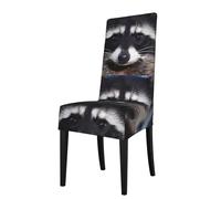 YUGTAEE La housse de chaise de salle à manger Little Raccoon Face est facile à démonter et fabriquée en tissu haute résilience résistant à l'usure