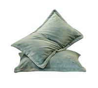 YUHGFD 2 pièces 48x74 cm taies d'oreiller en Velours de Lait, Opulence Simple, respectueuse de la Peau, taie d'oreiller à Motifs pour Cheveux, Peau, décoration intérieure