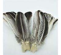 YUHJ Plumes d'aigle naturelles pour travaux manuels, décoration de mariage, carnaval, plumes, loisirs créatifs, décoration de vêtements