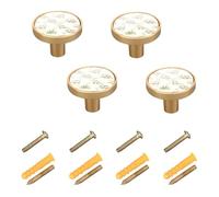 Yuiboo Lot de 4 boutons de porte d'armoire, tiroir et tiroir en nickel brossé beige motif dinosaures
