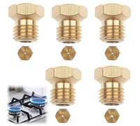 Yuiturt Lot de 5 Gicleurs Gaz Butane Universels, Gicleur Gaz de Ville, Kit de Conversion GPL pour Gazinière à Gaz, Injecteur Gaz Butane et Propane (1x0,5, 2x0,7, 1x0,87, 1x1,02)