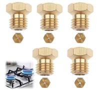 Yuiturt Lot de 5 Gicleurs Gaz Butane Universels, Gicleur Gaz de Ville, Kit de Conversion GPL pour Gazinière à Gaz, Injecteur Gaz Butane et Propane (1x0,5, 2x0,7, 1x0,87, 1x1,02)