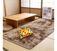 YUJINLIU Tapis de Chambre Doux 90 x 190 cm Intérieur Moelleux Épais Moderne Longs Tapismoquette Chambre Extra Large pour Salon Canapé Natte, Marron