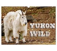 Yukon Wild (Wall Calendar 2027 DIN A3 landscape), CALVENDO 12 Month Wall Calendar: The legendary twelve wild animals of the Yukon, Canada photographed in action.