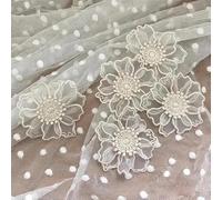 Yulakes Lot de 10 écussons brodés en dentelle en organza - Motif fleurs - À coudre - Pour loisirs créatifs et décoration sur vêtements - Beige